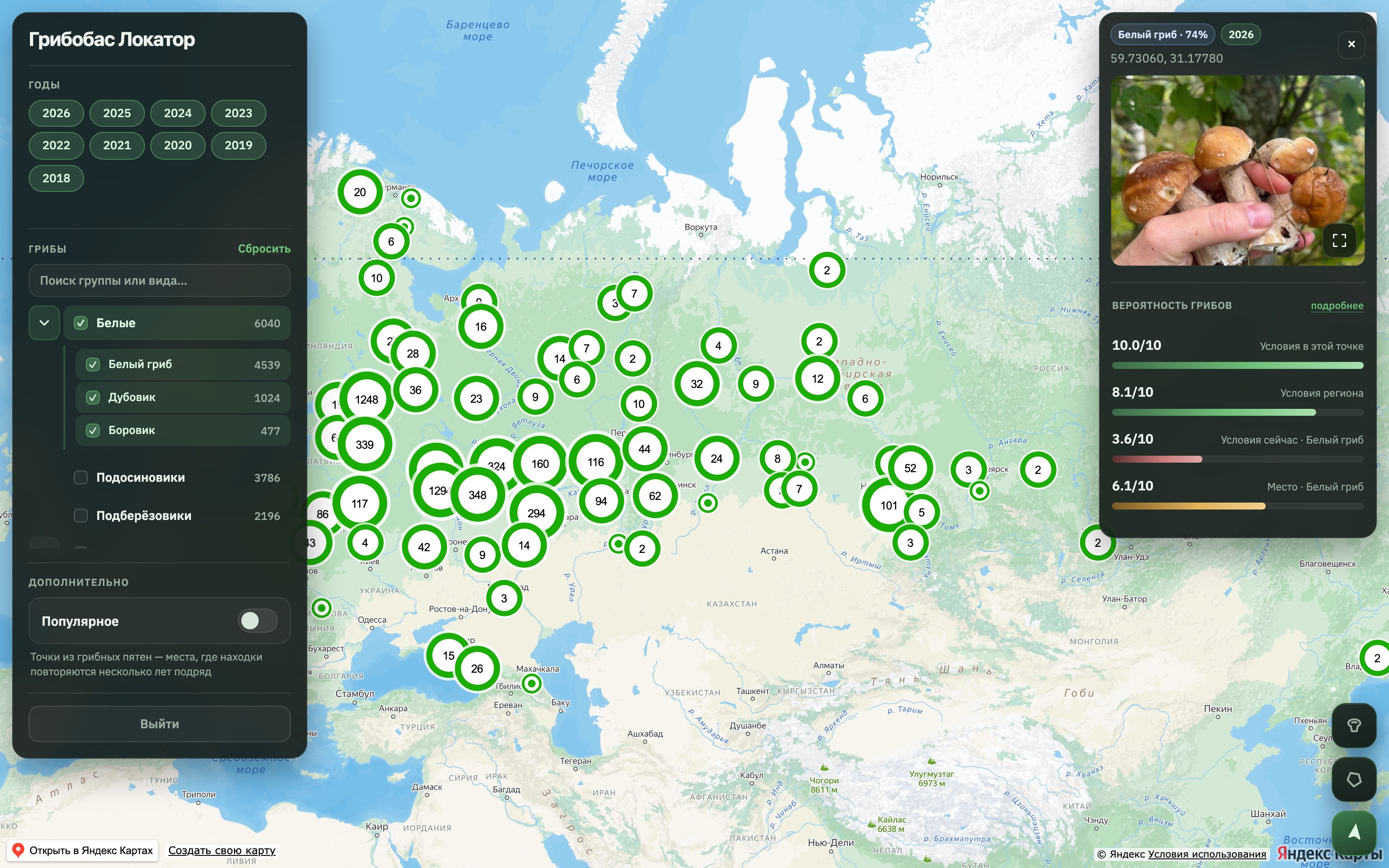 Лисички в Московской области
