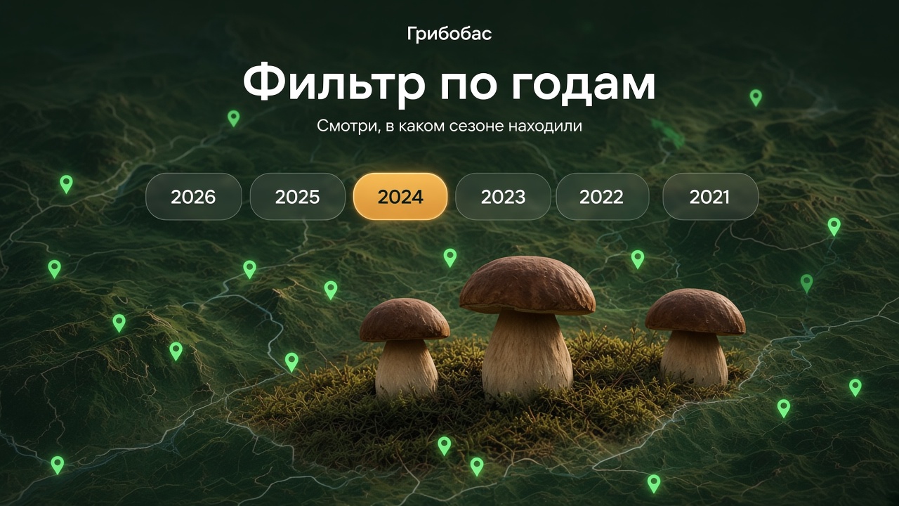 Фильтр по годам на карте грибных мест